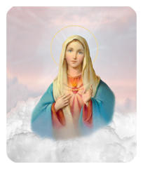 Immaculate Heart Pink Clouds